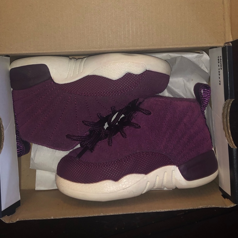 Jordan 12 retro BT